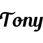 Preview: Tony - Schriftzug aus Buchenholz