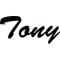 Preview: Tony - Schriftzug aus Buchenholz