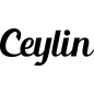 Preview: Ceylin - Schriftzug aus Buchenholz