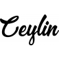 Preview: Ceylin - Schriftzug aus Buchenholz