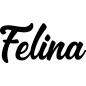 Preview: Felina - Schriftzug aus Buchenholz