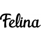 Preview: Felina - Schriftzug aus Buchenholz